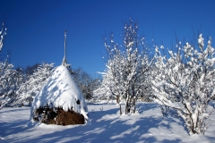 foto 8072