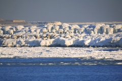 foto 7935
