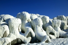 foto 7983