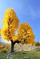 foto 7982