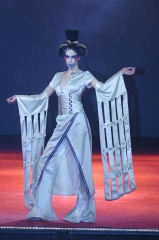 foto 8547