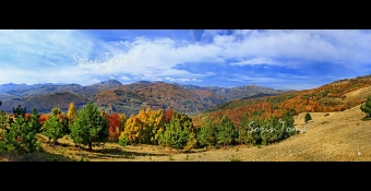 foto 9934