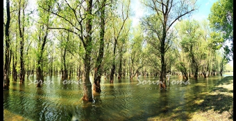 foto 9978