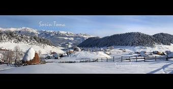 foto 9993