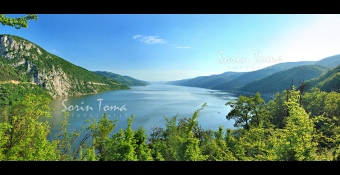 foto 9917